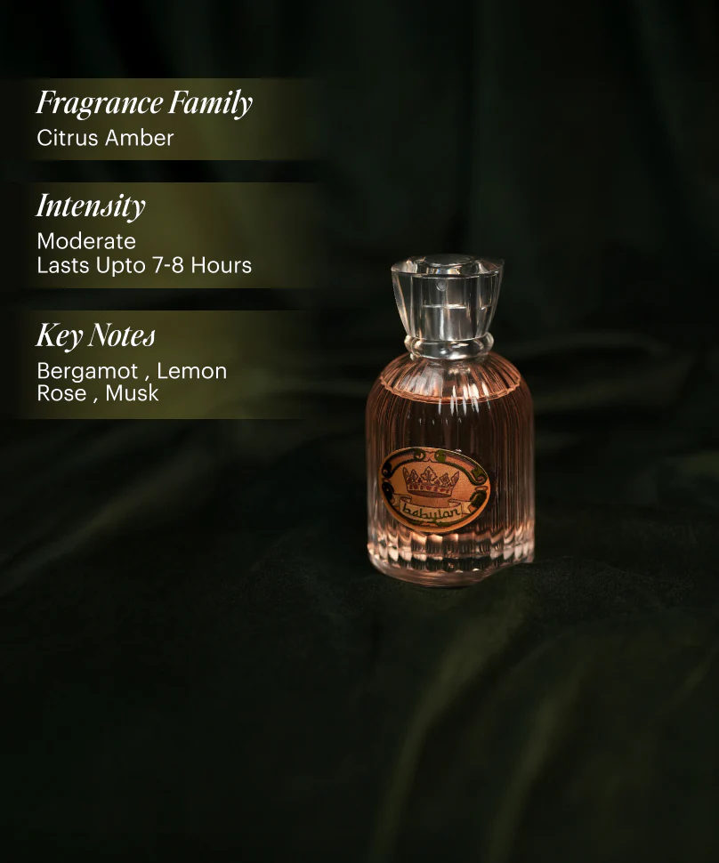 Babylon Eau De Parfum 50ml - Image 4